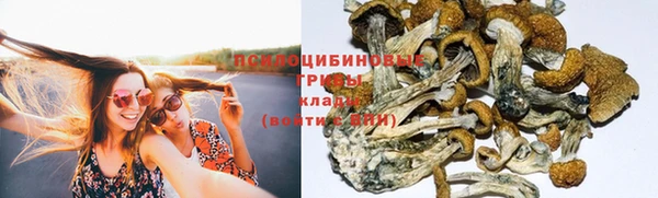 MDMA Premium VHQ Шадринск