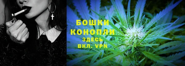 Альфа ПВП Шали