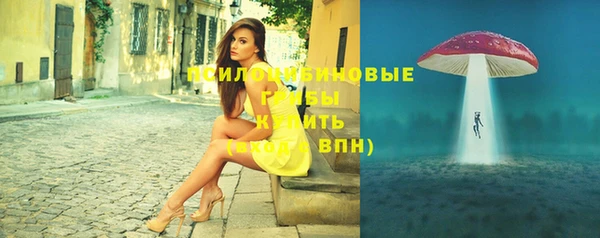 бутират Чекалин