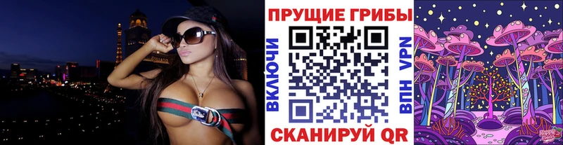 mega как зайти  Хабаровск  Псилоцибиновые грибы Magic Shrooms 
