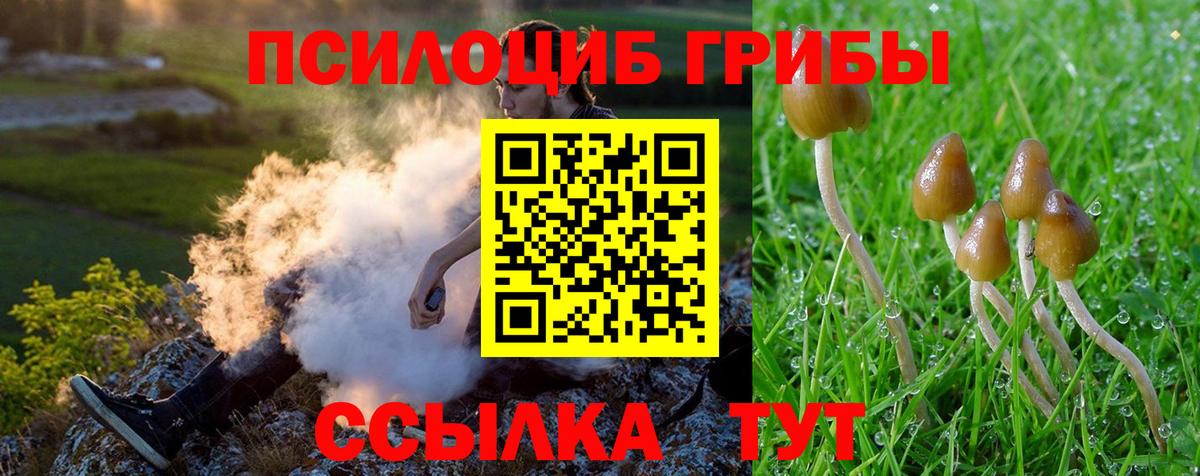 Псилоцибиновые грибы Cubensis  Вход с VPN  Хабаровск 